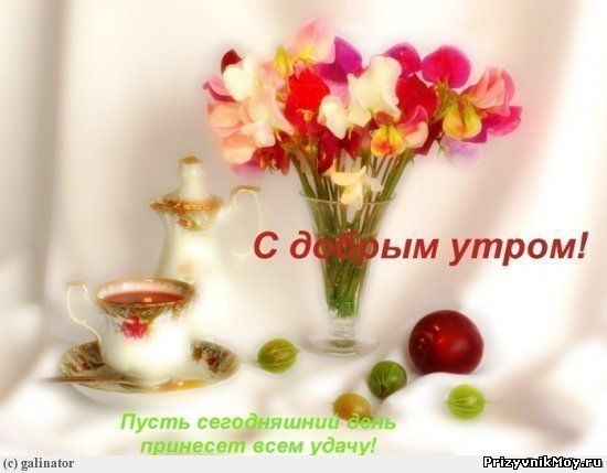Красивые открытки с добрым утром и с цветами