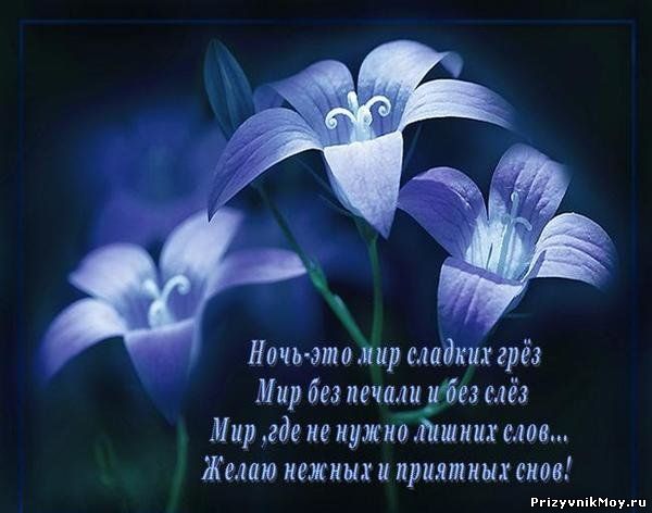 Сон нежный стих Сон нежный стих