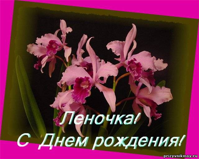 Поздравить елену с днём рождения прикольно Поздравить елену с днём рождения прикольно