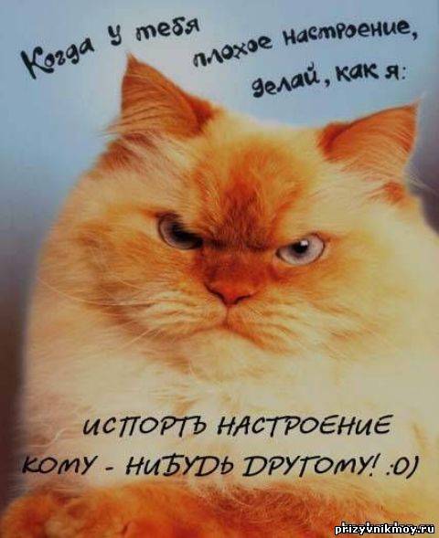 Открытка нет настроения Открытка нет настроения