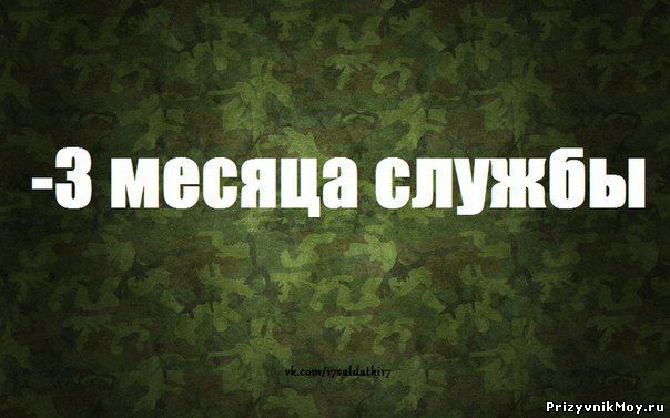 3 Месяца Службы Картинки